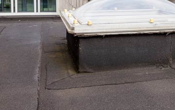 disadvantages of New Town flat roofs